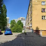 Letni