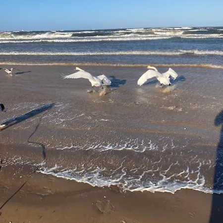 Lägenhet Letni Świnoujście