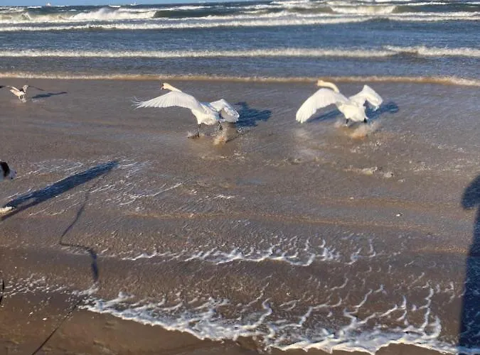 Apartment Letni Swinoujscie